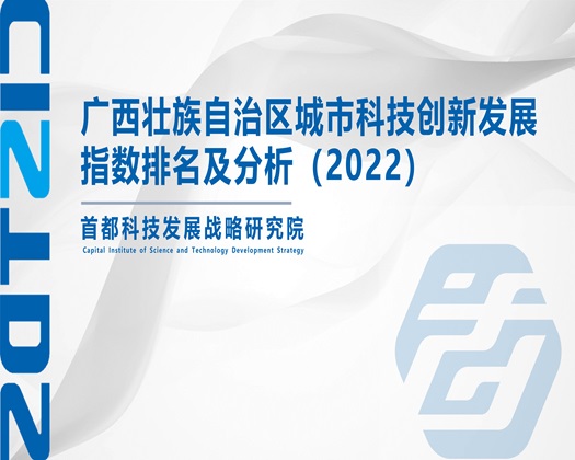 操女人屄新版视频【成果发布】广西壮族自治区城市科技创新发展指数排名及分析（2022）